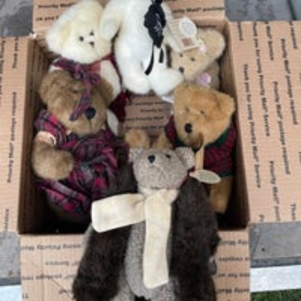 Boyd’s Bear lot